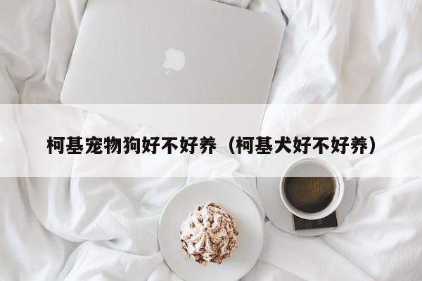 柯基宠物狗好不好养（柯基犬好不好养）