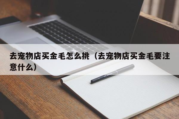 去宠物店买金毛怎么挑（去宠物店买金毛要注意什么）