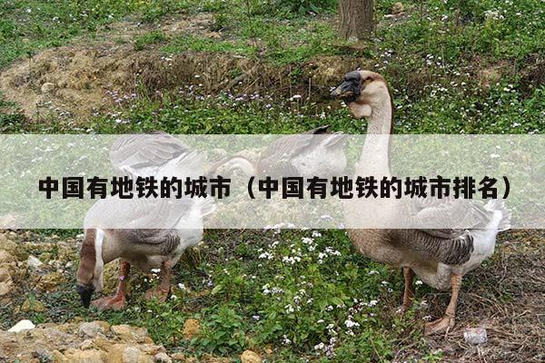 中国有地铁的城市（中国有地铁的城市排名）