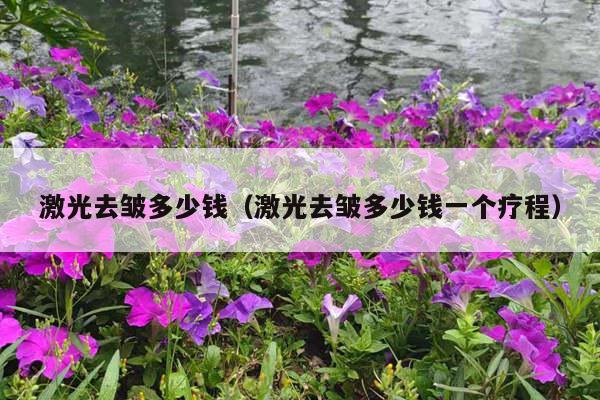 激光去皱多少钱（激光去皱多少钱一个疗程）