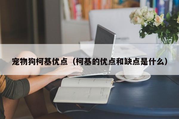 宠物狗柯基优点（柯基的优点和缺点是什么）