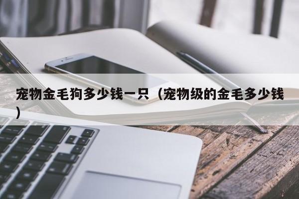宠物金毛狗多少钱一只（宠物级的金毛多少钱）