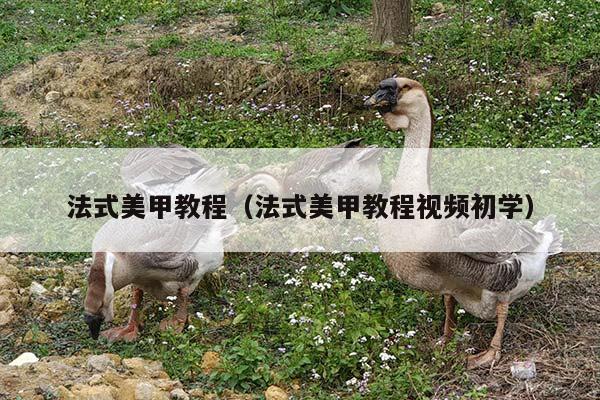 法式美甲教程（法式美甲教程视频初学）