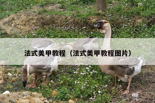 法式美甲教程（法式美甲教程图片）