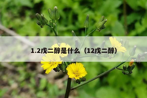 1.2戊二醇是什么（12戊二醇）