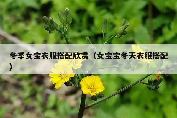冬季女宝衣服搭配欣赏（女宝宝冬天衣服搭配）