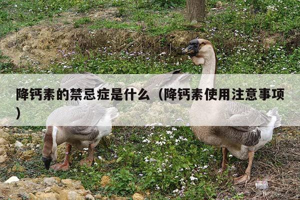 降钙素的禁忌症是什么（降钙素使用注意事项）