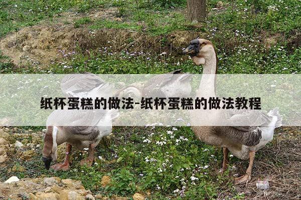 纸杯蛋糕的做法-纸杯蛋糕的做法教程
