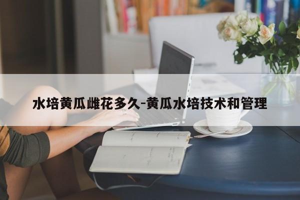 水培黄瓜雌花多久-黄瓜水培技术和管理
