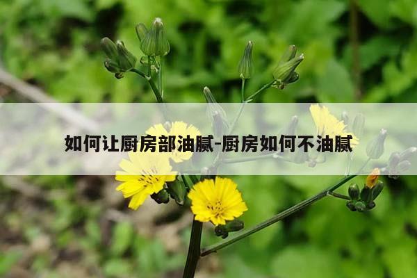 如何让厨房部油腻-厨房如何不油腻