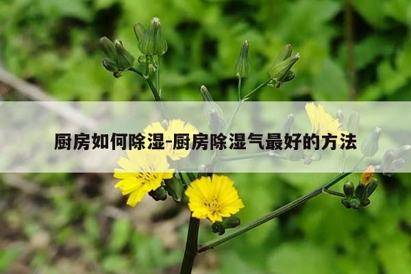 厨房如何除湿-厨房除湿气最好的方法
