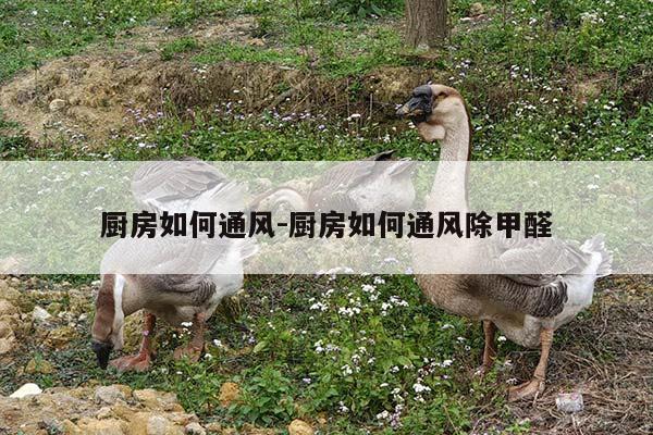 厨房如何通风-厨房如何通风除甲醛