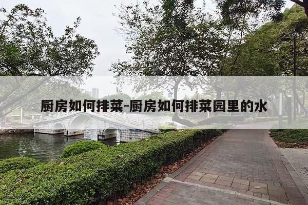 厨房如何排菜-厨房如何排菜园里的水