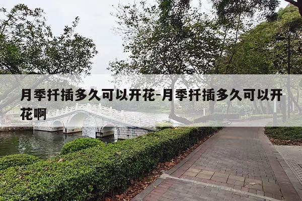 月季扦插多久可以开花-月季扦插多久可以开花啊