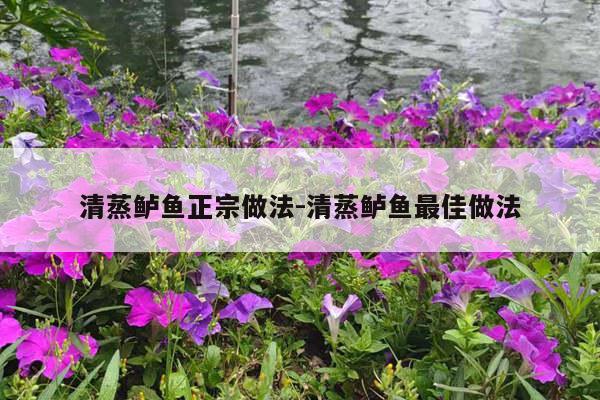 清蒸鲈鱼正宗做法-清蒸鲈鱼最佳做法
