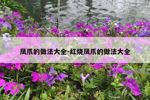 凤爪的做法大全-红烧凤爪的做法大全
