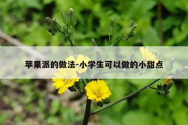 苹果派的做法-小学生可以做的小甜点