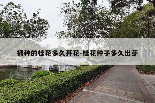 播种的桂花多久开花-桂花种子多久出芽