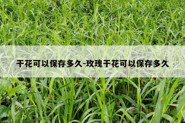 干花可以保存多久-玫瑰干花可以保存多久