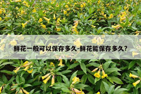 鲜花一般可以保存多久-鲜花能保存多久?