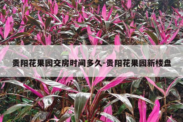 贵阳花果园交房时间多久-贵阳花果园新楼盘