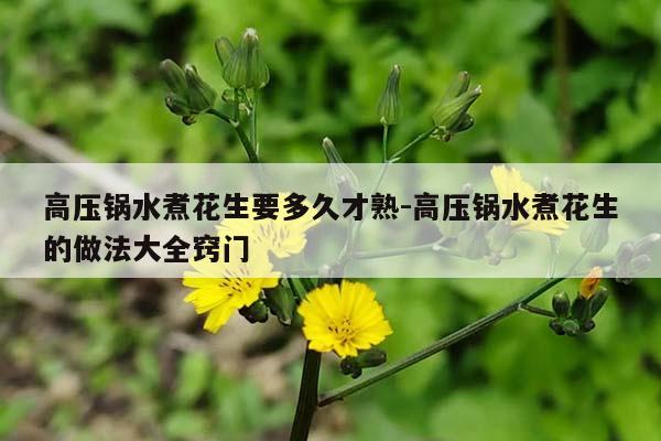 高压锅水煮花生要多久才熟-高压锅水煮花生的做法大全窍门