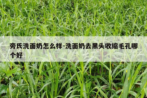 旁氏洗面奶怎么样-洗面奶去黑头收缩毛孔哪个好