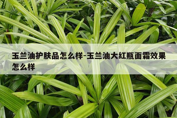 玉兰油护肤品怎么样-玉兰油大红瓶面霜效果怎么样