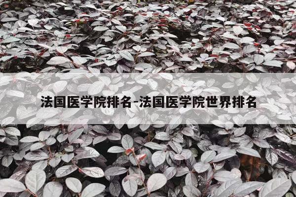 法国医学院排名-法国医学院世界排名