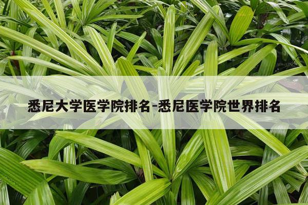 悉尼大学医学院排名-悉尼医学院世界排名