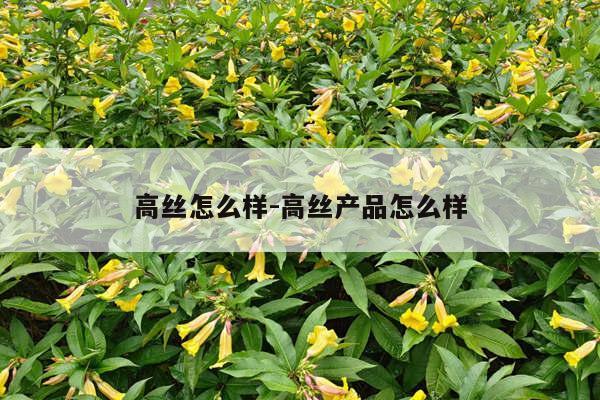 高丝怎么样-高丝产品怎么样