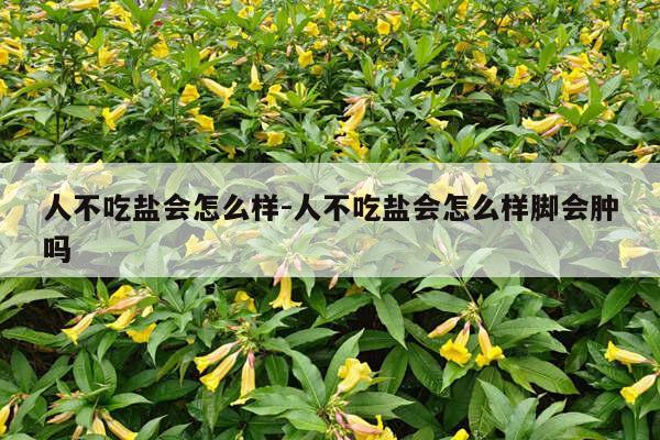 人不吃盐会怎么样-人不吃盐会怎么样脚会肿吗
