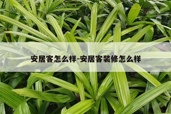 安居客怎么样-安居客装修怎么样