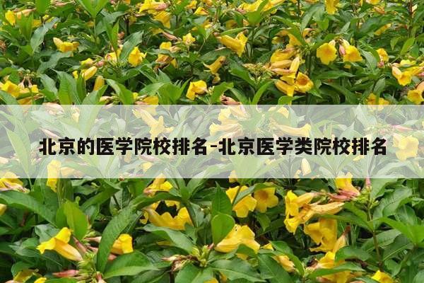 北京的医学院校排名-北京医学类院校排名