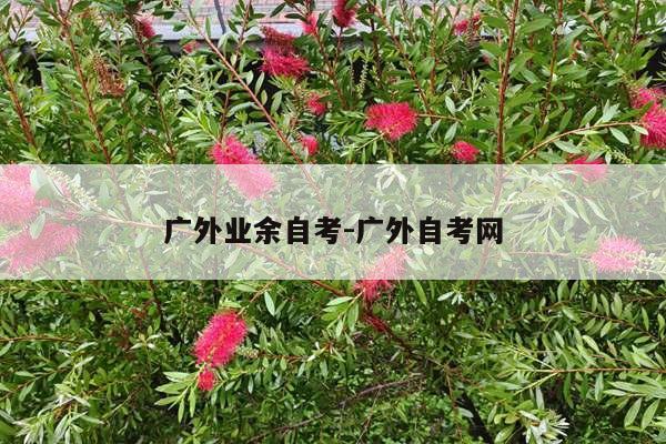 广外业余自考-广外自考网