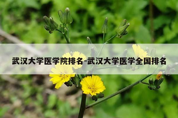 武汉大学医学院排名-武汉大学医学全国排名