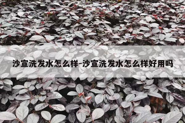 沙宣洗发水怎么样-沙宣洗发水怎么样好用吗