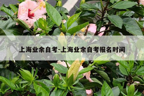 上海业余自考-上海业余自考报名时间