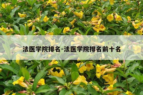 法医学院排名-法医学院排名前十名