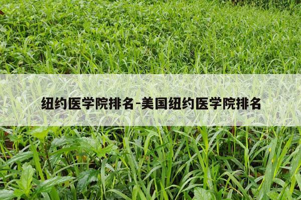 纽约医学院排名-美国纽约医学院排名