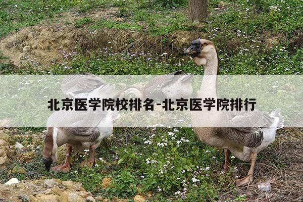 北京医学院校排名-北京医学院排行