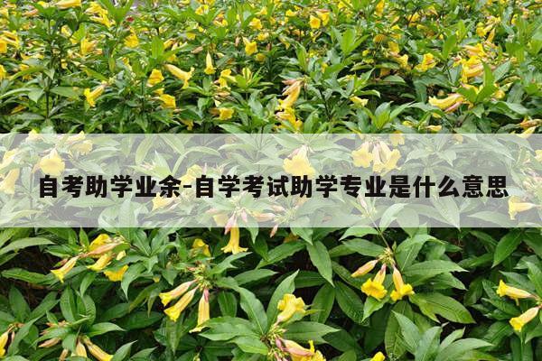 自考助学业余-自学考试助学专业是什么意思