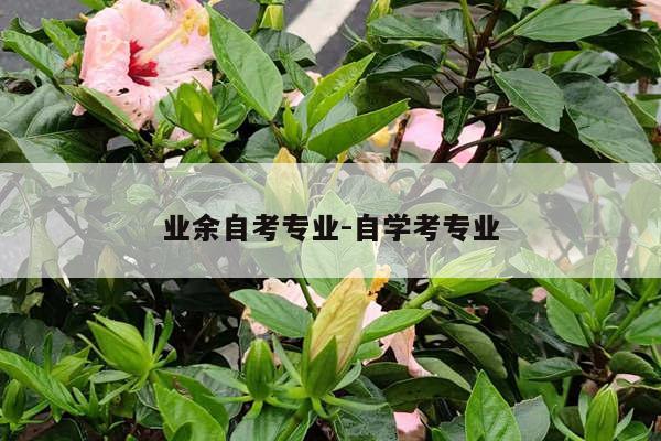 业余自考专业-自学考专业