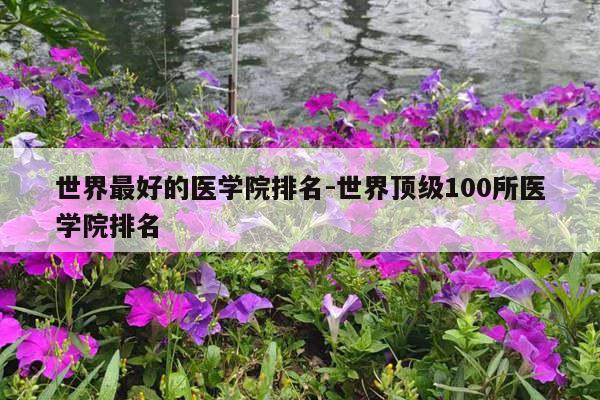 世界最好的医学院排名-世界顶级100所医学院排名