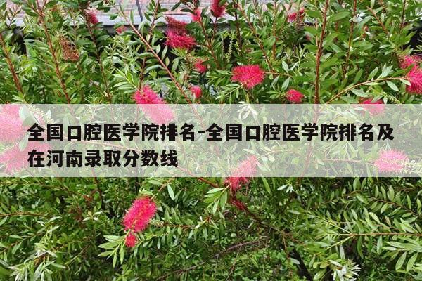 全国口腔医学院排名-全国口腔医学院排名及在河南录取分数线