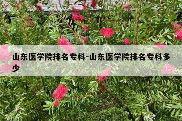 山东医学院排名专科-山东医学院排名专科多少