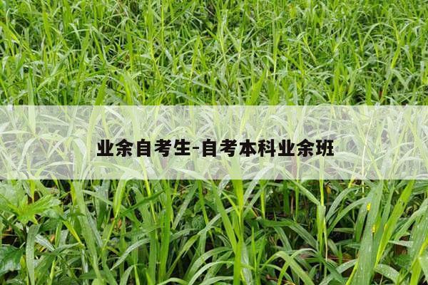 业余自考生-自考本科业余班