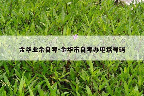 金华业余自考-金华市自考办电话号码