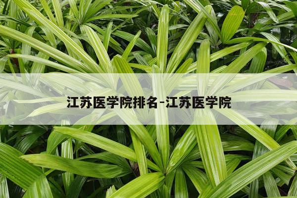 江苏医学院排名-江苏医学院