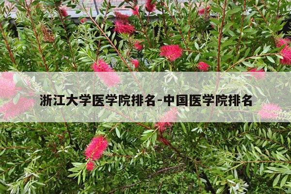 浙江大学医学院排名-中国医学院排名